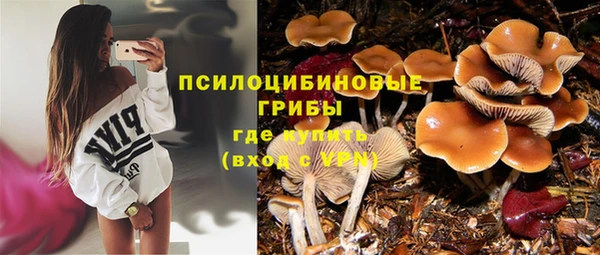 марки lsd Абаза